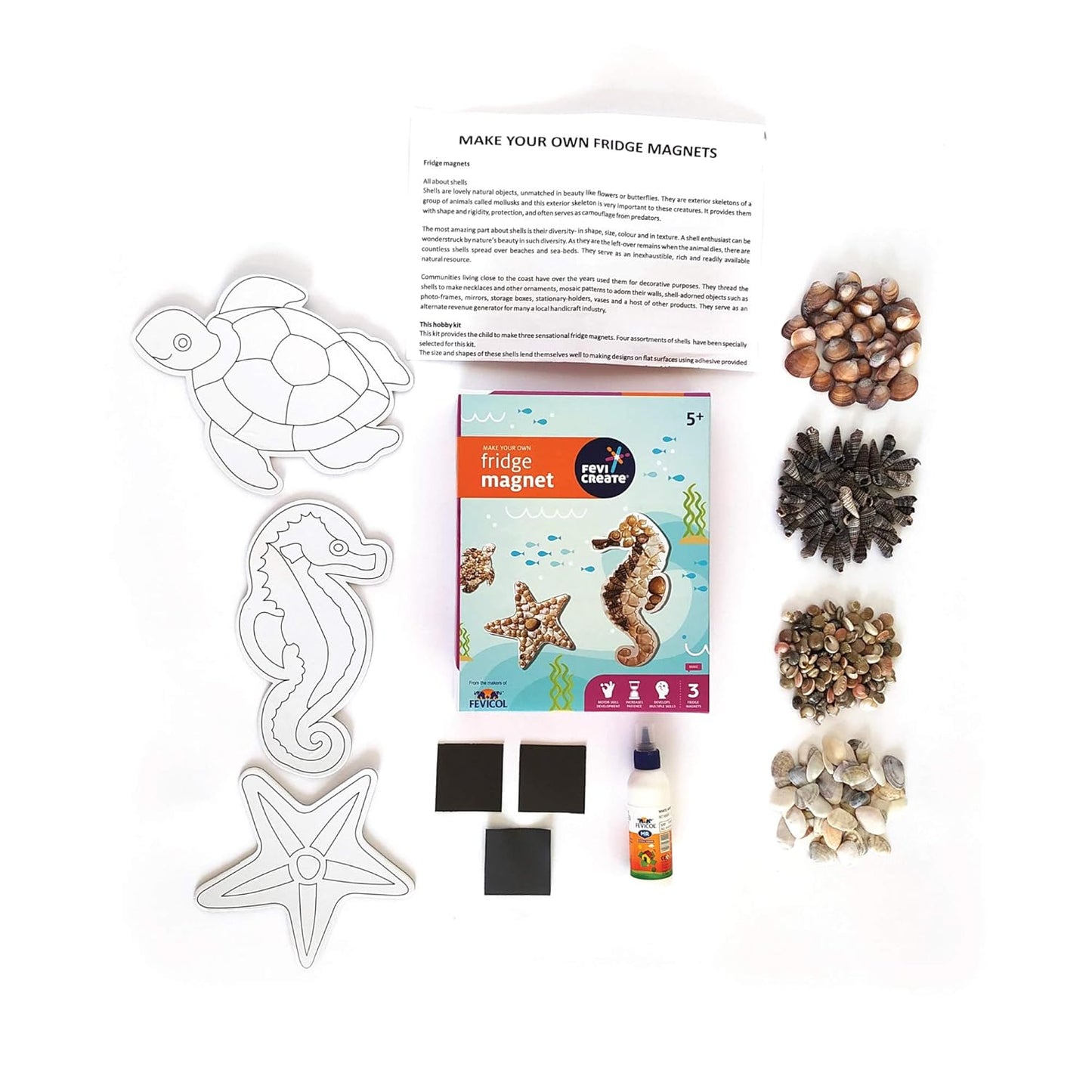Arjoos | DIY Fridge Magnet Art & Craft Kit for Kids – Sea Creature Theme with Shells, Magnet Strips & Fevicol | Creative Birthday Gift for Boys & Girls | Birthday Gifts for Kids - Pack of 1 - ( Ages - 5+ )