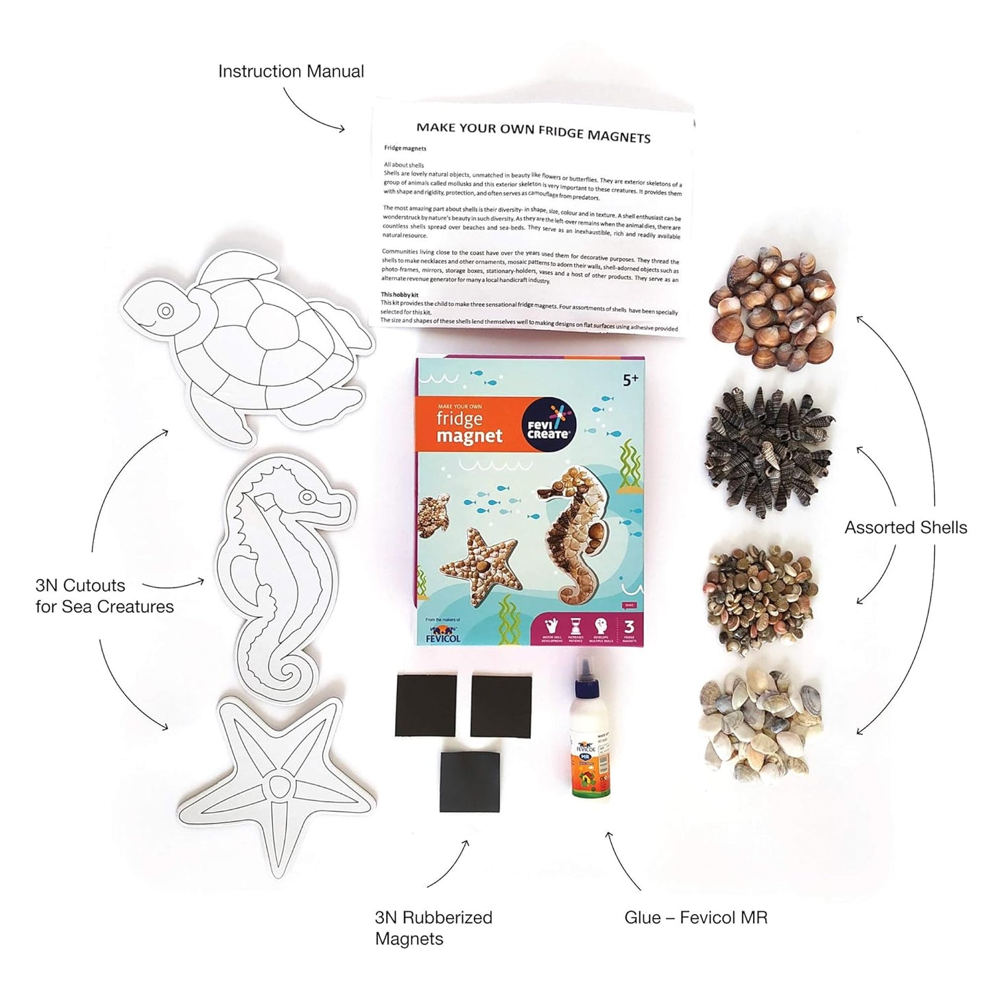 Arjoos | DIY Fridge Magnet Art & Craft Kit for Kids – Sea Creature Theme with Shells, Magnet Strips & Fevicol | Creative Birthday Gift for Boys & Girls | Birthday Gifts for Kids - Pack of 1 - ( Ages - 5+ )