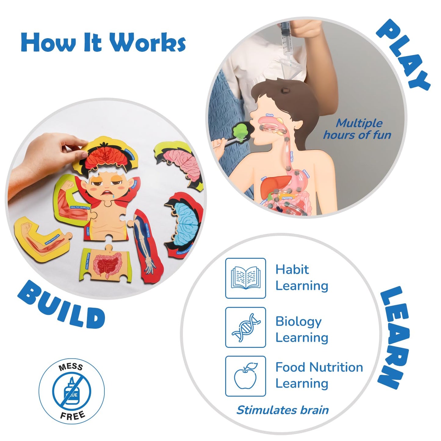 Arjoos | Food Body & Nutrition Toy | DIY STEM Educational Science Toy | Healthy Eating Game, Food Cards, Diet Tracker | Birthday Gifts for Kids - Age - 6+Years