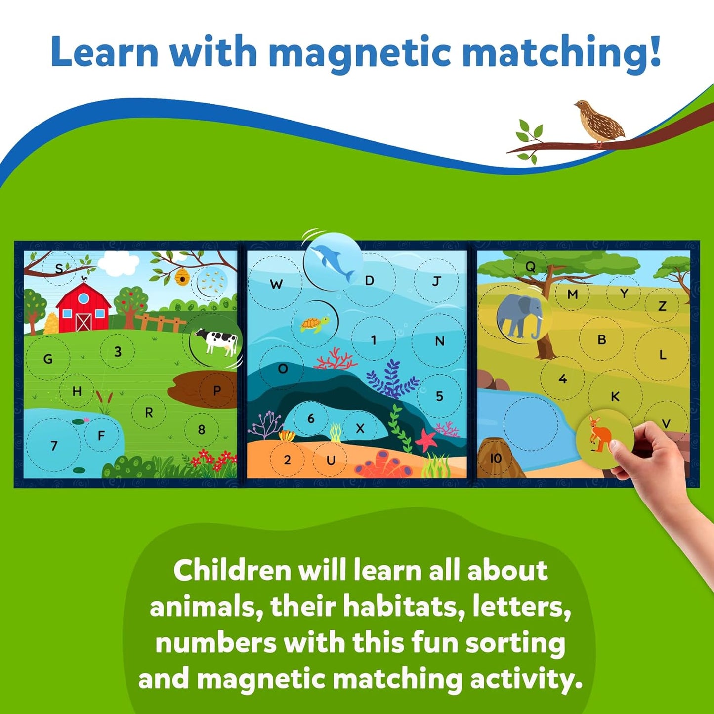Arjoos | Letters, Numbers & Animals - Magnetic Matching Activity | Preschool Learning Toy & Game for Kids, 35+ Magnetic Pieces | Birthday Gifts for Kids - Age - 3+Years