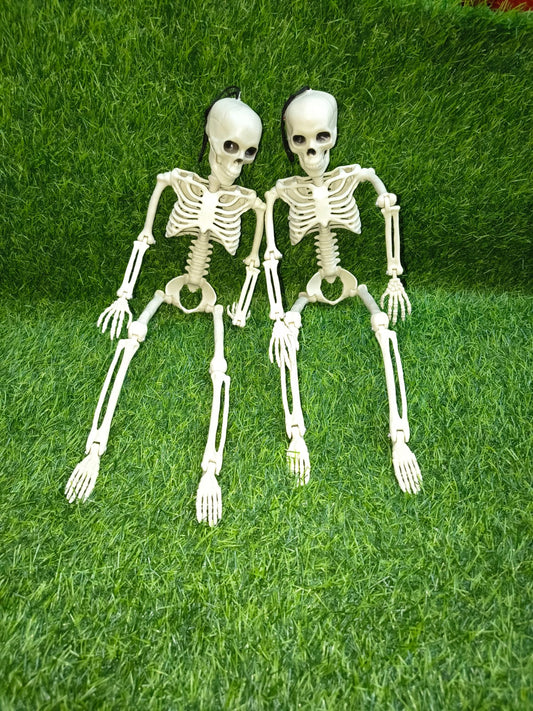 Arjoos| Posable Hanging Skeleton Decorations,used for Halloween props, haunted house themes, and festive party ornaments.