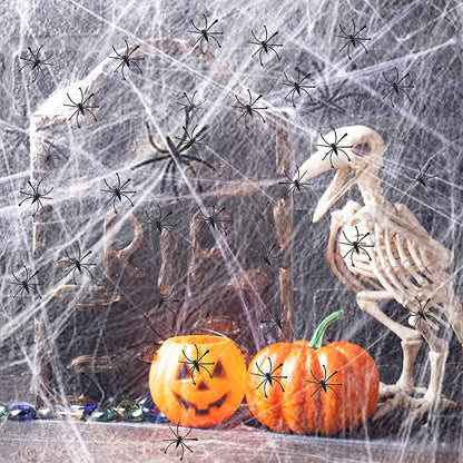 Arjoos |Halloween Stretchy Spider Web Color Cobweb Decoration with SpidersHalloween Party Supplies | Pack of 1